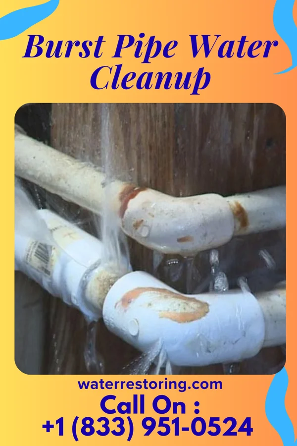 Burst Pipe Water Cleanup in Fountain N' Lakes, MO