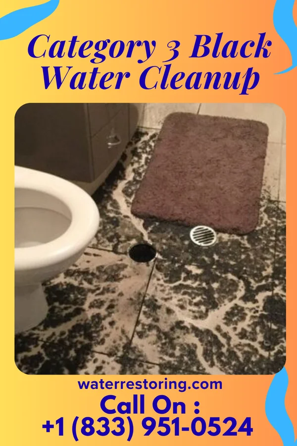 Category 3 Black Water Cleanup in Fountain N' Lakes, MO