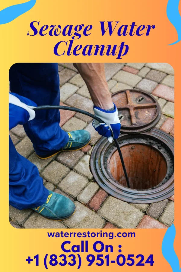 Sewage Water Cleanup in Fountain N' Lakes, MO